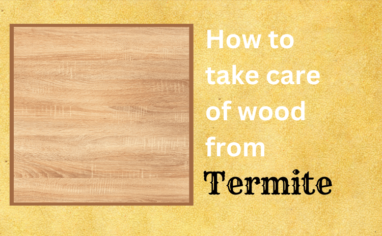 How to Take Care of Wood from Termite- Modi Furniture